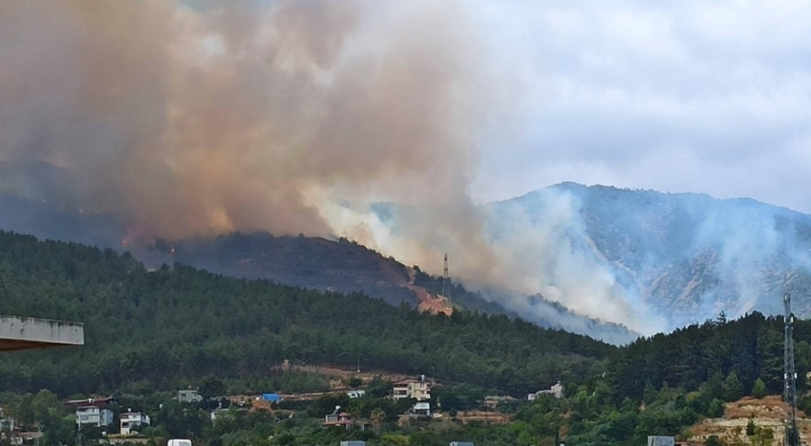 Antakya'da yangın çıktı!