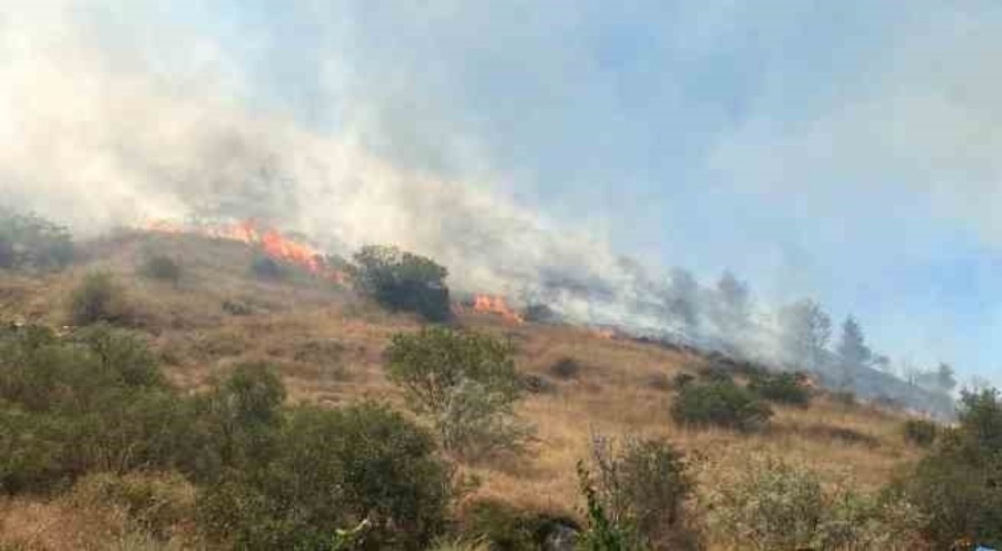 Kayseri'de anız yangını