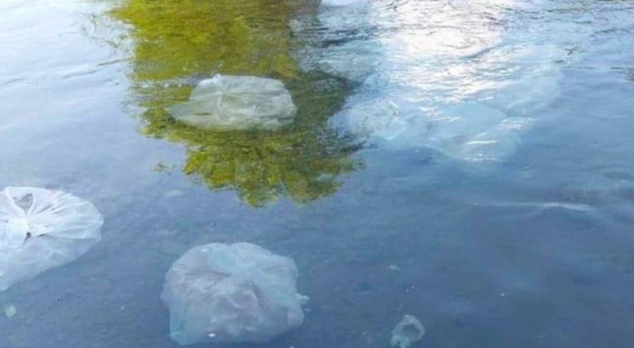 Ordu'da derelere tarihi geçmiş tavuklar atan firmaya şaşırtan ceza