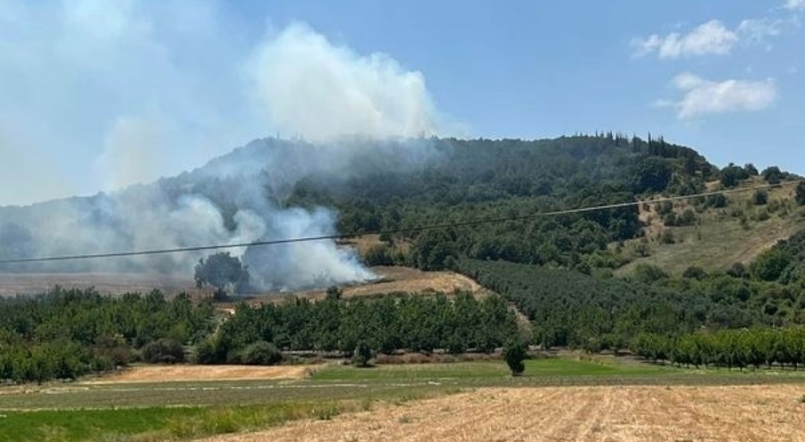 Bursa'da ormanlık alanda yangın!