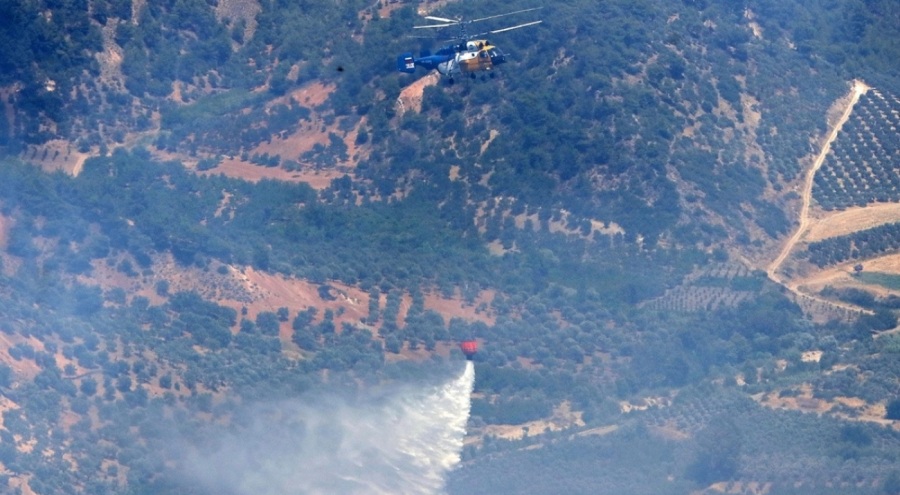 Hatay'da orman yangınına sebep olan 4 kişi yakalandı