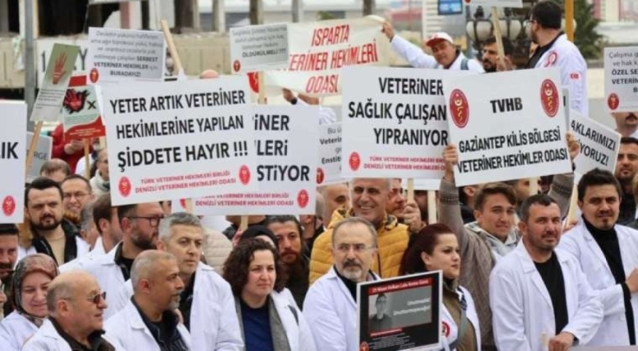 Veteriner hekimler greve çıkıyor