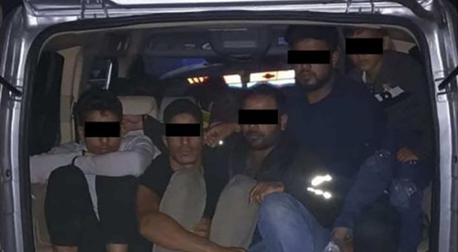 Yasa dışı yurda giren 241 göçmen yakalandı