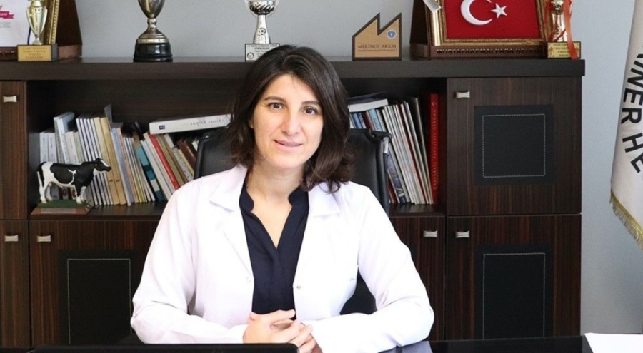 Veteriner hekimler iş bırakıyor...