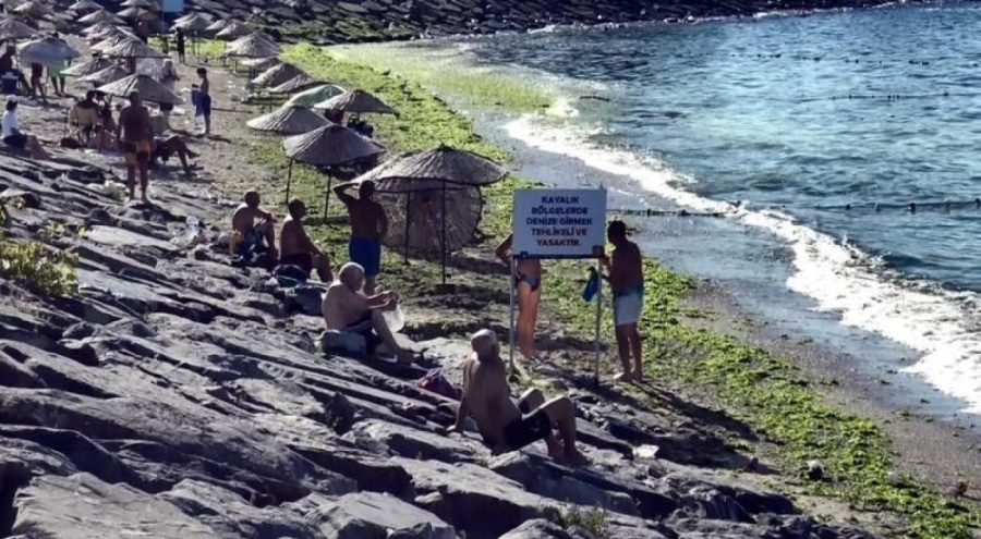 İstanbul'da sahili yosun sardı