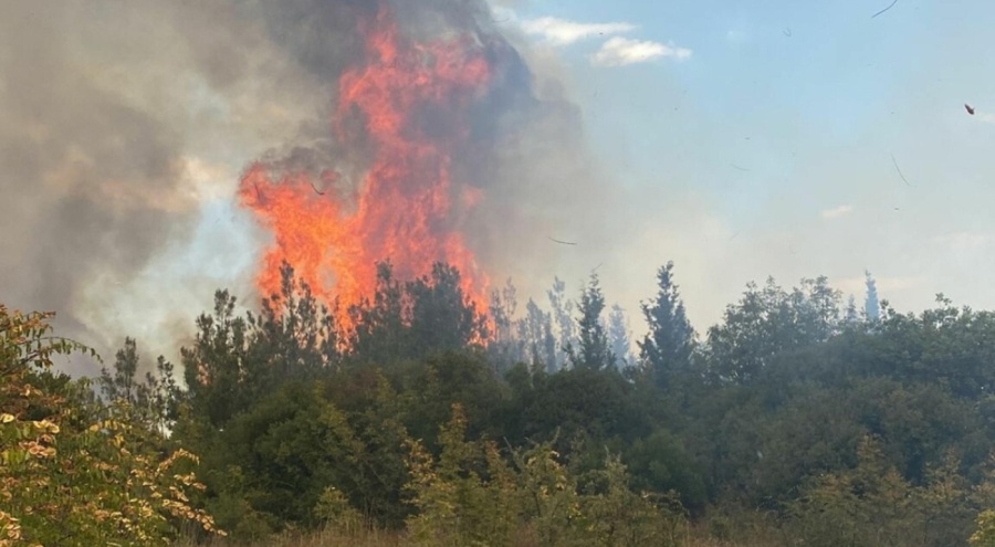 Çanakkale'de orman yangını