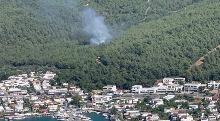 Muğla Bodrum'da orman yangını