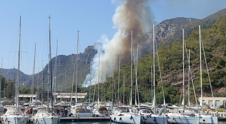 Muğla'da orman yangını çıktı, evler boşaltılıyor