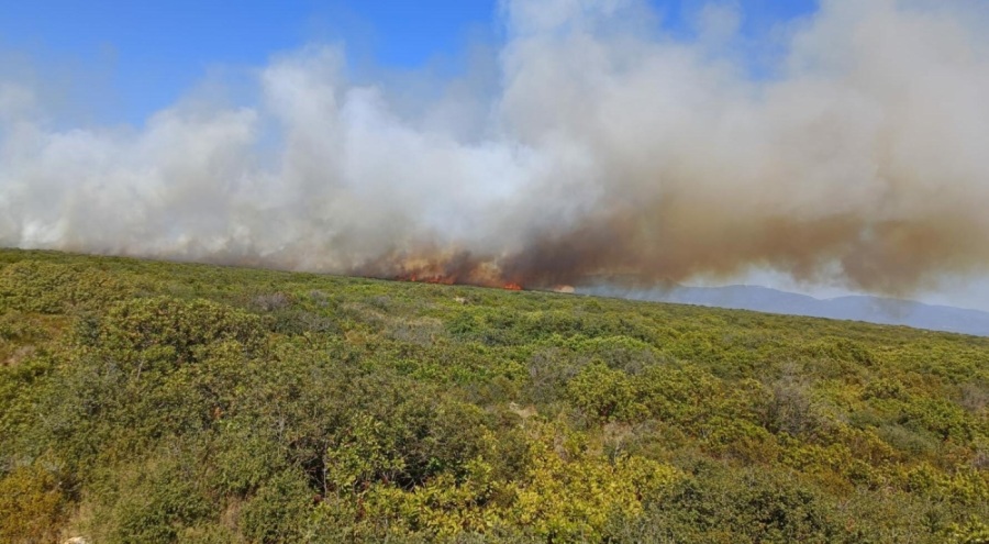 Didim'de makilik alanda yangın çıktı