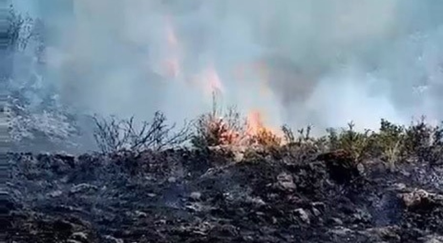 Bursa İznik'te makilik alanda korkutan yangın
