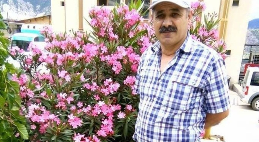 Artvin'de yamaçtan yuvarlanarak kamyonete çarpan ağaç can aldı