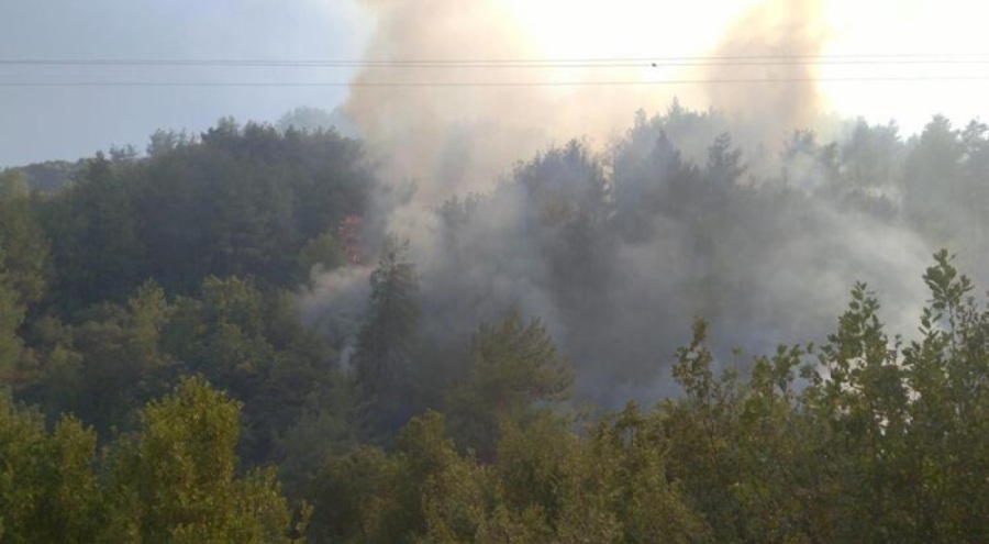 Hatay'da orman yangını