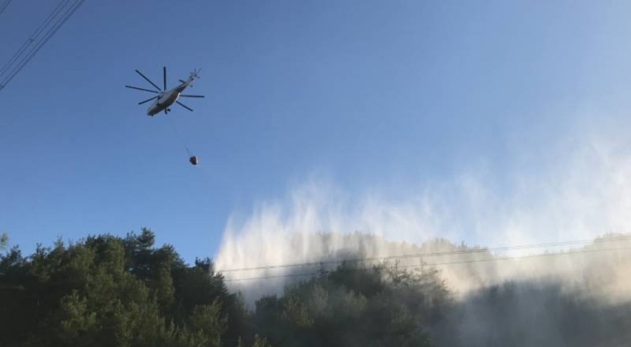 Hatay'da orman yangını!