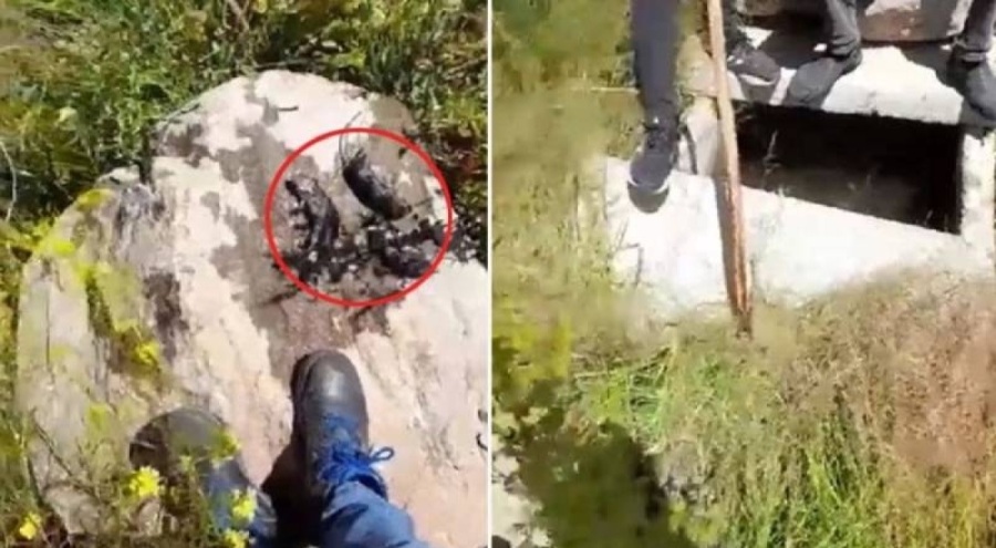 CHP'li Tanal: Erzurum'da içme suyu deposunda fare ölüleri çıktı