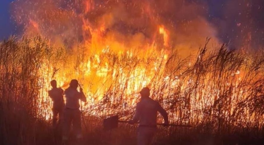 9 günde 148 ormanda yangın! 175 hektar alan zarar gördü