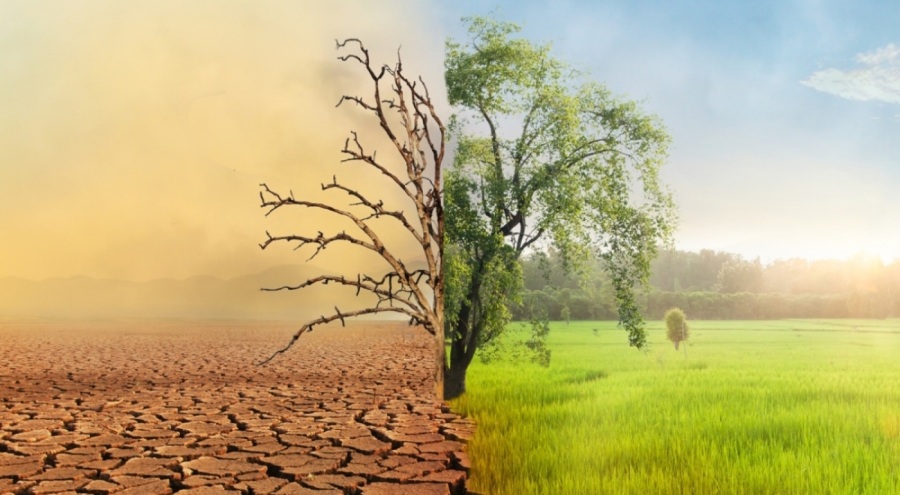 Dünya Sağlık Örgütü'nden iklim değişikliği uyarısı