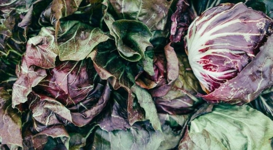 İçindeki su miktarı ile vücudun hızlı yaşlanmasını önleyen 8 besin!