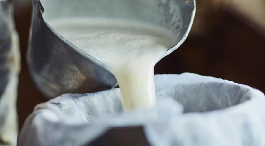 Peynir ve sütteki gizli tehlike!