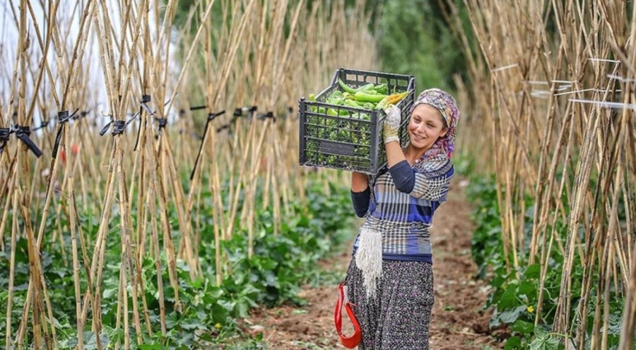 Bakanlık açıkladı: 6'sının kullanımı yasaklandı