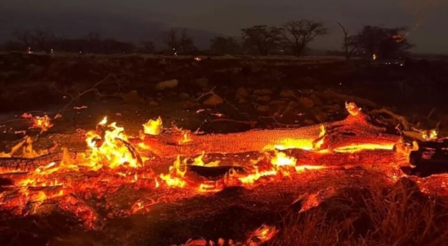 Hawaii yangınlarında can kaybı 53'e yükseldi