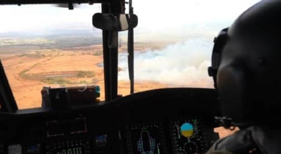 Hawai'deki orman yangınında ölü sayısı 55 oldu