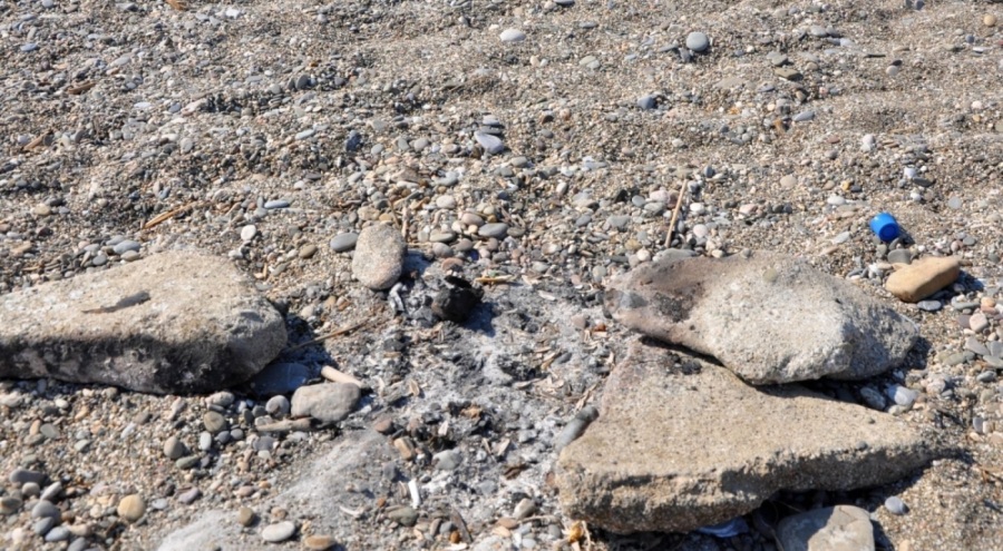 Caretta caretta yuvasının üstünde mangal yaktılar