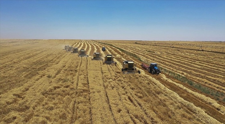 Konyalı çiftçi, elinde kalan buğdayını AK Parti ilçe binası önüne döktü