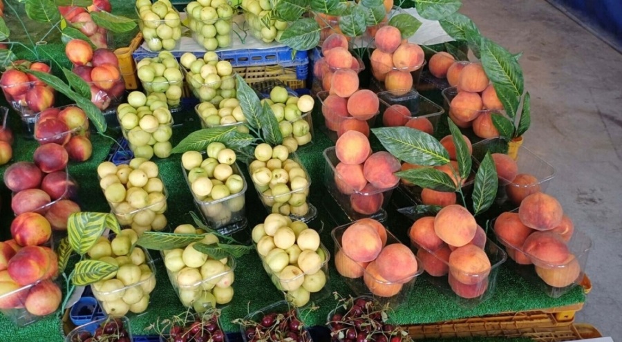 Sıcak hava dalgası yaz meyvelerini de vurdu