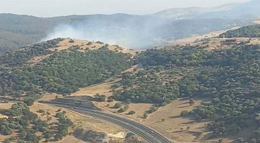 İzmir'de makilikte yangın