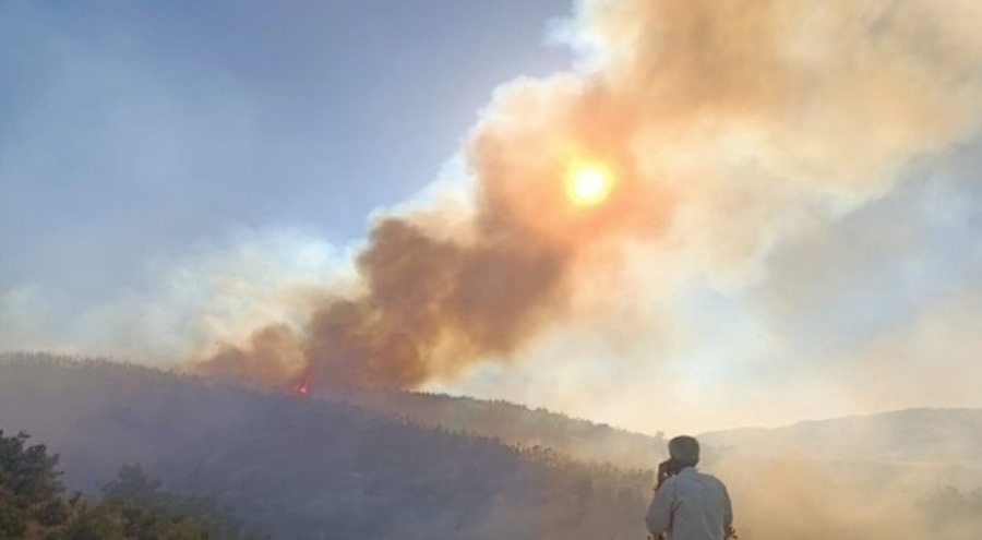 Bingöl'de orman yangını