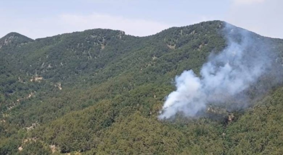 İskenderun'da orman yangını çıktı!