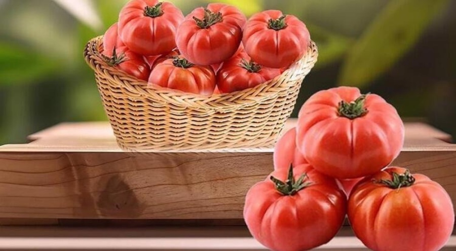 Ayaş domatesi AB yolunda!
