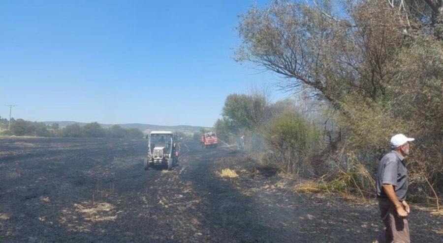 Eskişehir'de anız yangını ormana sıçradı