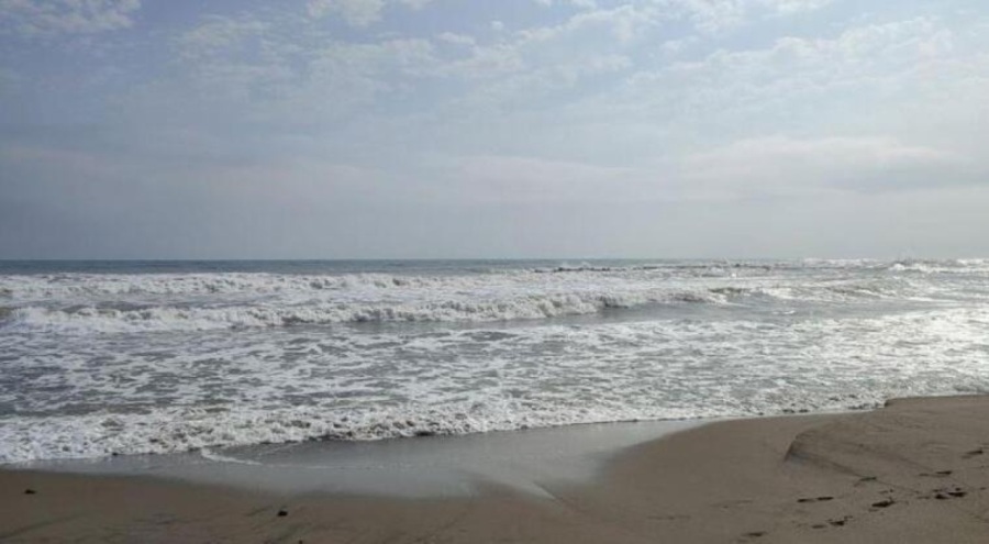 Aynı aileden 4 kişi boğularak can verdi