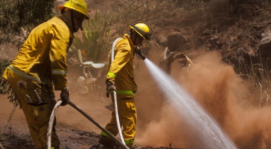 Hawaii'deki orman yangınlarında ölü sayısı 96'ya yükseldi