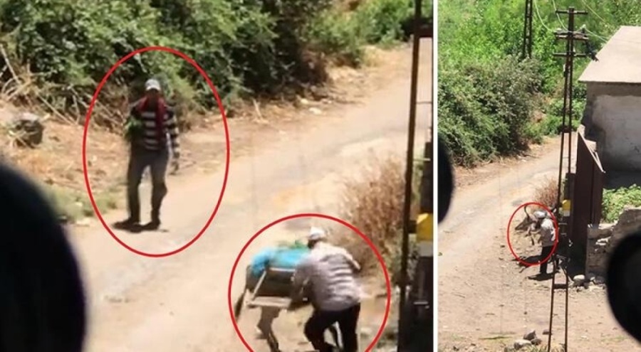 Diyarbakır'da eşeğe şiddet kamerada