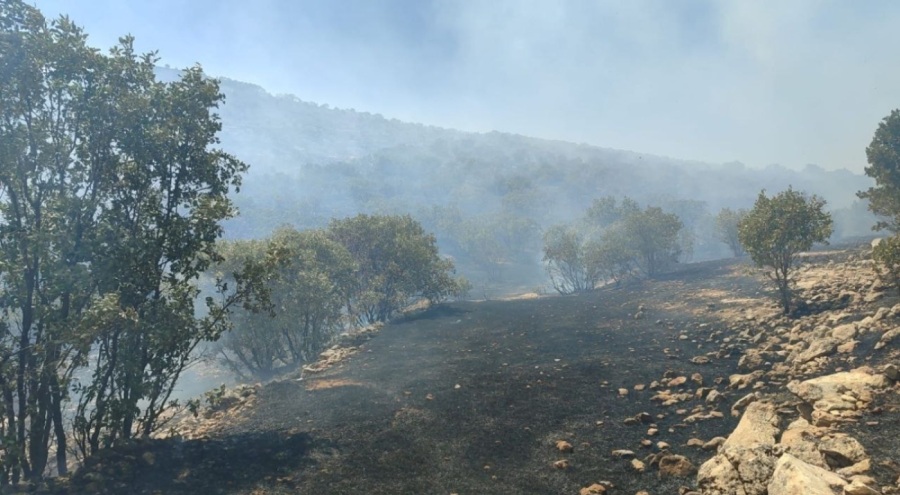 Mardin'de 25 hektarlık alan küle döndü