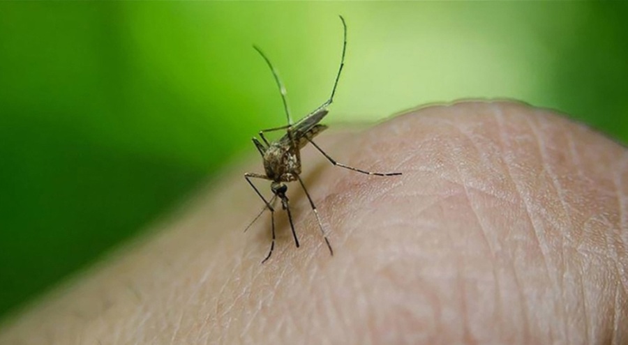 Bangladeş'te hayatını kaybedenlerin sayısı 416'ya çıktı