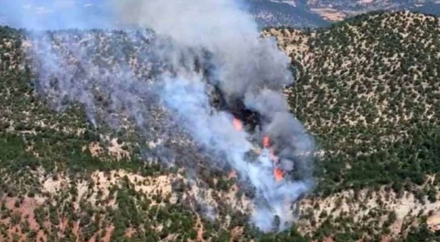 Bolu'da orman yangını