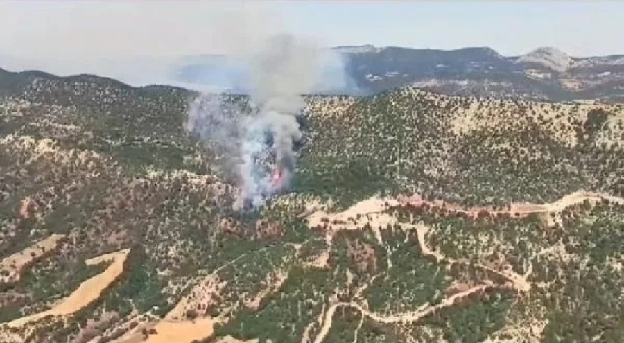 Bolu'da korkutan orman yangını!