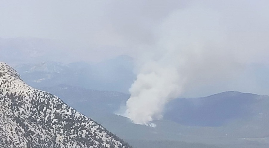 Antalya'da orman yangını çıktı