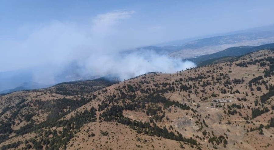 Eskişehir'de orman yangını çıktı