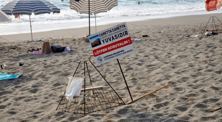 Caretta caretta yuvasının üzerinde mangal yakanların kimlikleri belirlendi