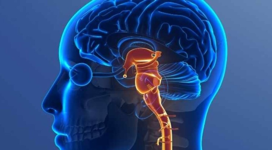 Hafızanızı güçlendirmek için 9 beslenme önerisi