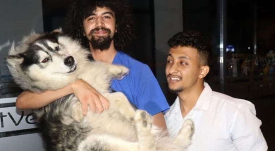 İstanbul'da kaybolan köpek Keşan'da bulundu!