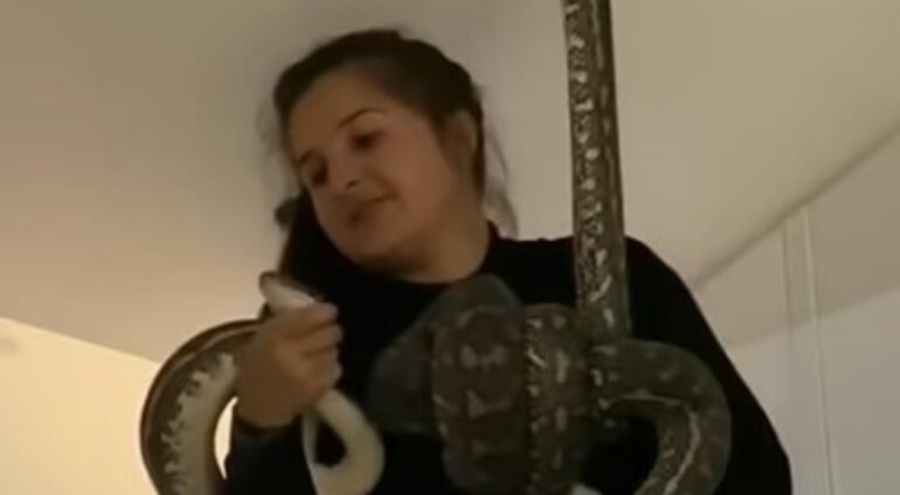 Tavanı delen kadın 2 yılanla karşılaştı