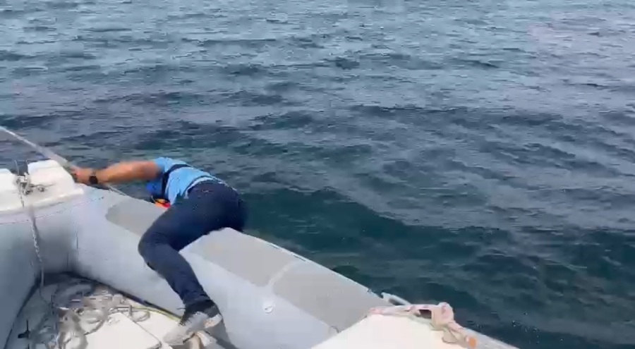 Bursa'da denizde mahsur kalan martıyı polisler kurtardı!