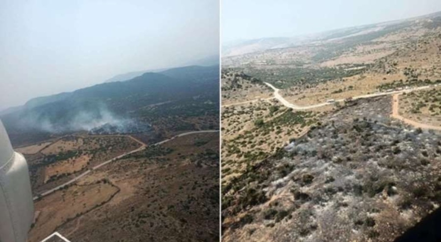 İzmir'de orman yangını