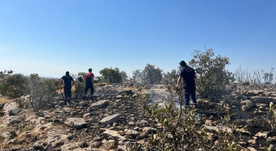 Mardin'de orman yangını!