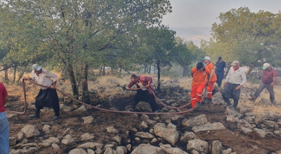 Düşen yıldırım, orman yangınına yol açtı!
